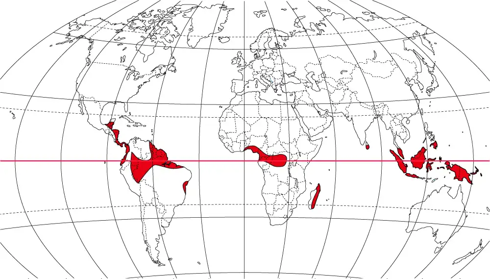 地理 熱帯