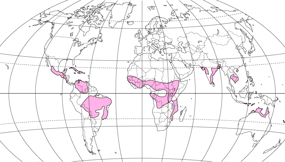 地理 熱帯