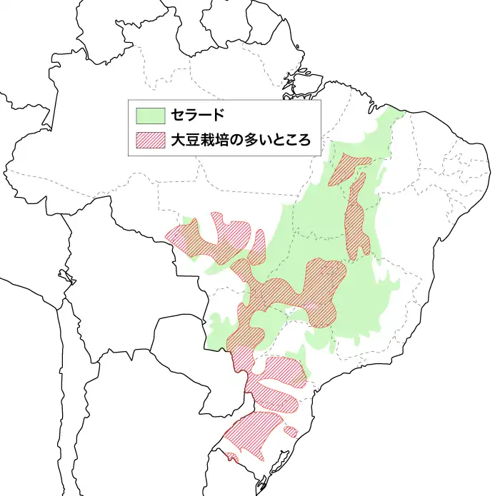 ブラジルのセラードにおける大豆栽培