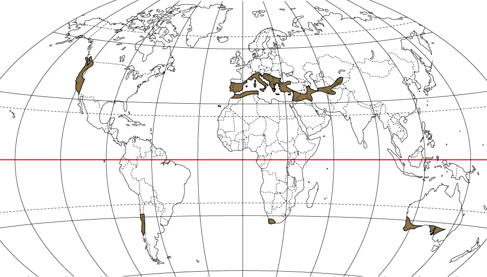 地中海性気候の分布