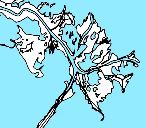 ミシシッピ川の河口