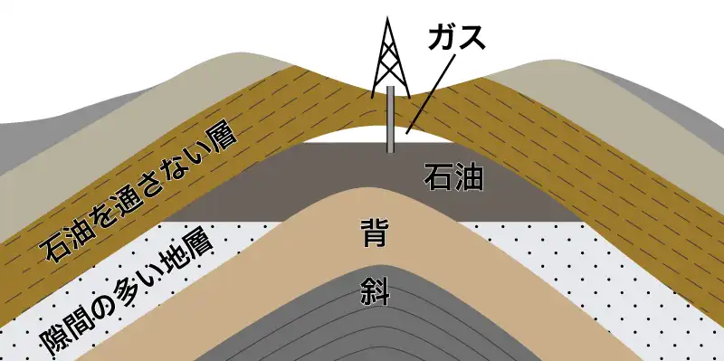 油田の地質構造
