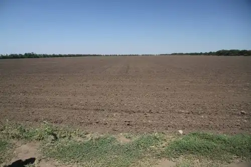 チェルノーゼム