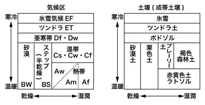 地理 植生 土壌