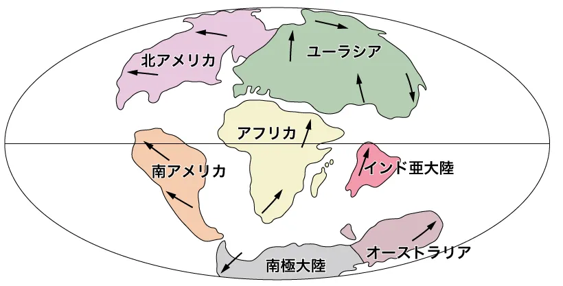 新生代初期(約6500万年前)
