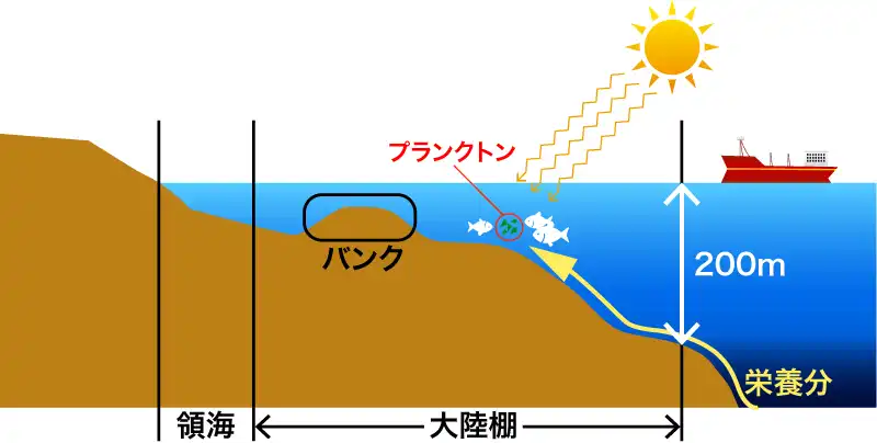 大陸棚とバンク