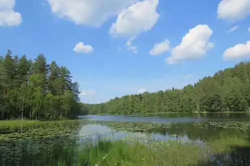 フィンランドの森と湖