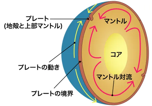 プレートとマントル対流
