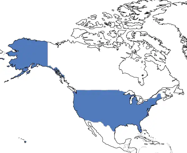 アメリカ合衆国