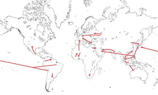 国際的な人口移動（2000年頃）