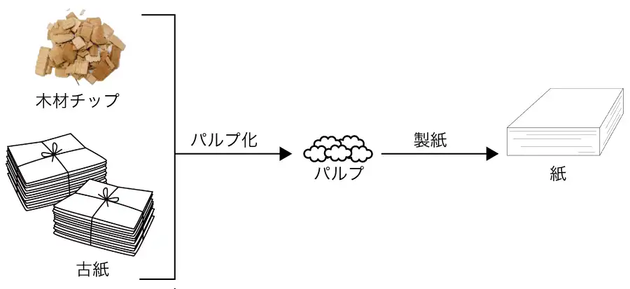 パルプ化と製紙