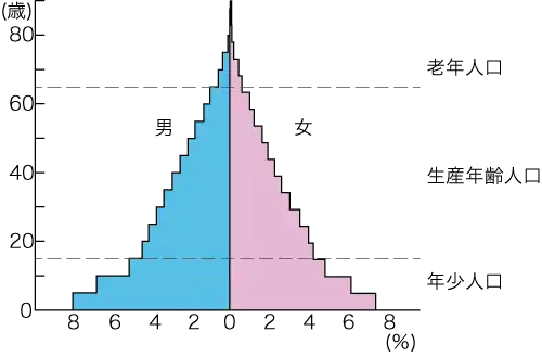 人口ピラミッド(1960年のインド)