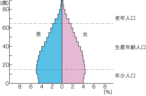 人口ピラミッド(2019年のインド)