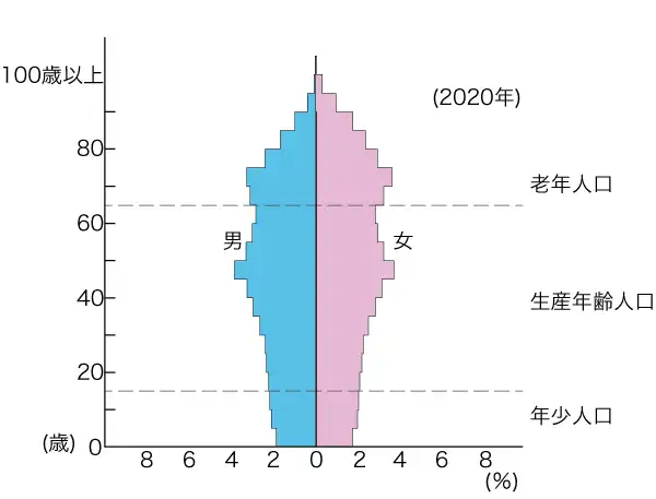 日本の人口ピラミッド(2020年)