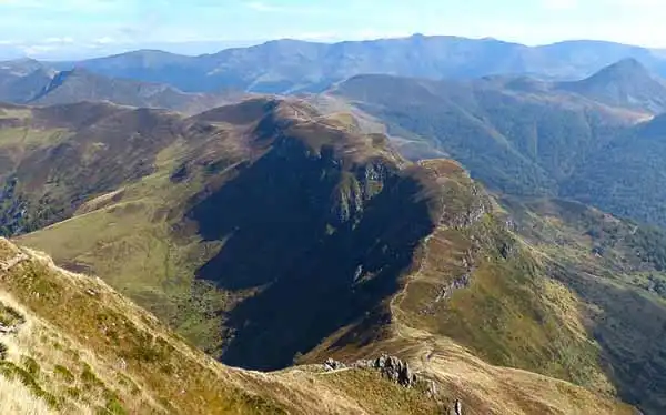 尾根（背骨のような部分）