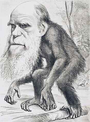 ダーウィンの風刺画